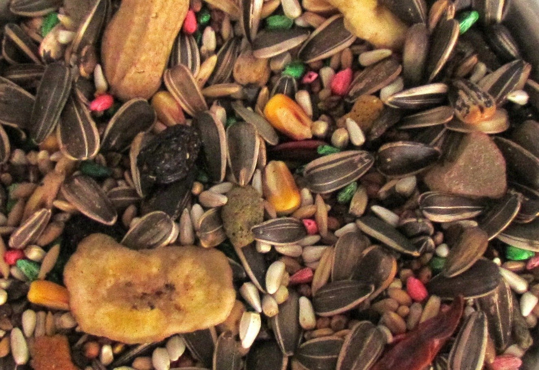 Dynasty parrot seed mix parrot food bulk